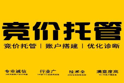 成功SEM投放案例分享